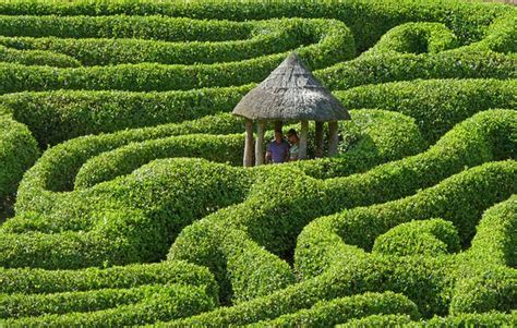 Glendurgan Garden Maze Garden Design Maze Amazing Maze