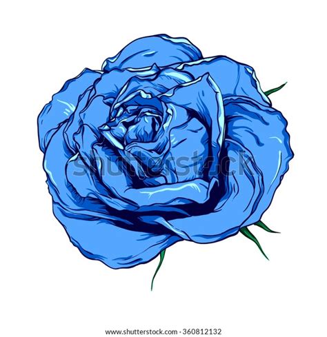 Blue Rose Vector Illustration Stock Vector Royalty Free 360812132