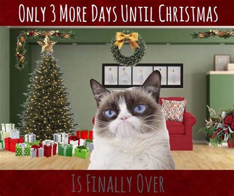 Grumpy Cat Christmas 🎄🎅🏼 Grumpy Cat Christmas Grumpy Cat Humor