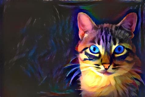 Bright Abstract Cat Cats Abstract Photo And Video