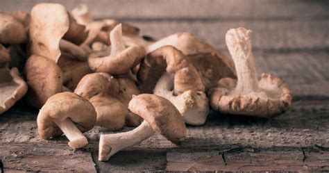 Shiitake Mushroom Benefits Usage And Side Effects Gaia Herbs