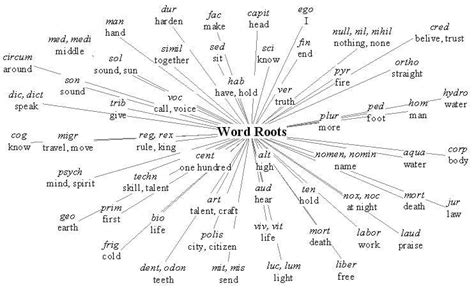 Root Words In English Vocabulary For Competitive Exams