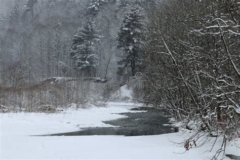 Snowy Creek And Trees Stock Image Image Of Winter White 109624787