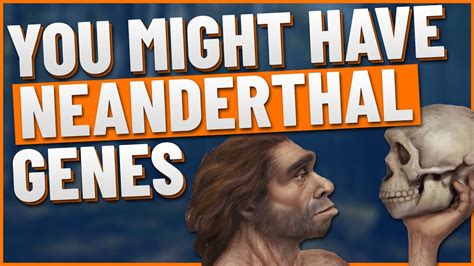 Do You Have Neanderthal Genes Heres Why Thats Good And Bad Youtube