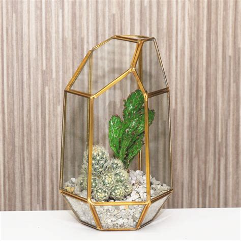 Geometric Glass Vase Terrarium By Dingading Terrariums