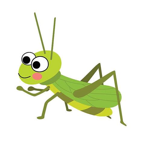Clipart Cricket Bug 20 Free Cliparts Download Images On Clipground 2024