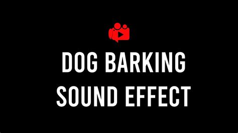 Dog Barking Sound Effect High Quality Youtube