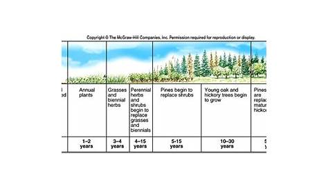 Succession - Biology Resources