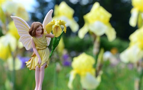 Iris Fairie Flower Fairies Water Lilies Fairy Figurines