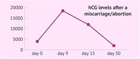 Free Hcg Levels After Miscarriage Chart Download In Pdf 60 Off