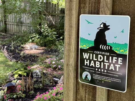 How To Turn Your Own Backyard Into A Certified Wildlife Habitat Dengarden