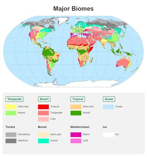 Wetlands Biome Map