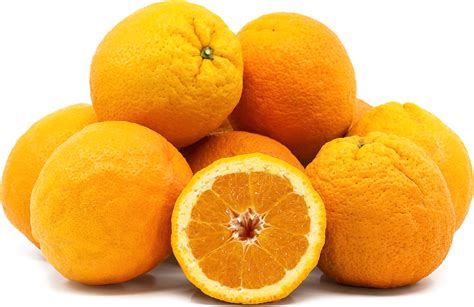 Valencia Oranges Information Recipes And Facts