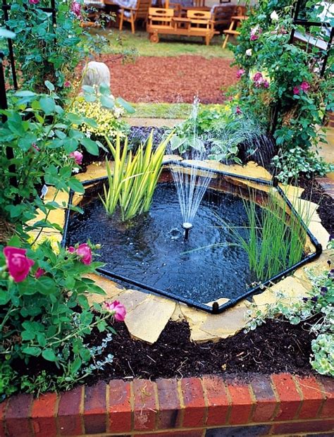 Cities treat water with chlorine/chloramine to remove bacteria, and although this gives us clean safe drinking water, this means that there are harmful chemicals in. Pond through the winter-what to look for water plants and ...