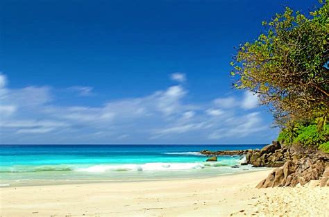 Top 10 Andaman Nicobar Beach And Why You Should Visit Them Now