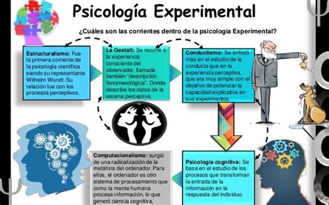 Fundamentos Teóricos De La Psicología Experimental