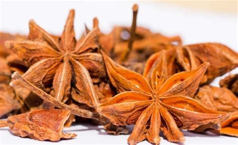 Illicium verum, commonly known as star anise, star aniseed, or chinese star anise is a spice that closely looks like anise in flavor, obtained from the. What is a good substitute for star anise? - KitchenVile