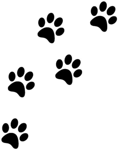 Download Hd Cat Paw Prints Paw Prints Transparent Background