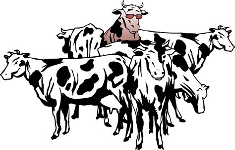 Download Transparent Cows Clipart Herd Of Cattle Clipart Clipartkey