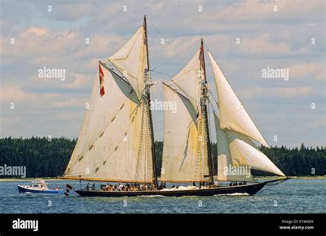 Tall Ship The Bluenose Canada Schooner Gaff Ridd B Halifax Nova