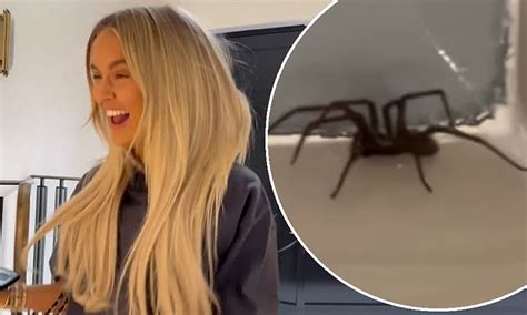 Molly Mae Hague Squeals In Fear As She Encounters Huge Spider In