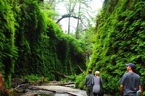 What To Do And See On Californias Lost Coast In Humboldt County