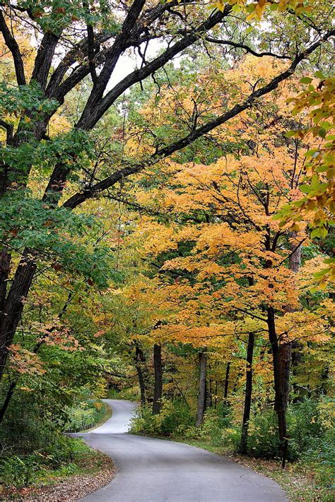 Autumn Drive Photograph By Rosanne Jordan Fine Art America
