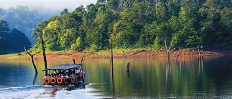 Best Travel Guide To Periyar National Park