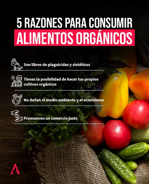 5 Razones Para Consumir Alimentos Orgánicos Aprende Institute
