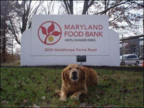 Maryland food bank is a food banks, food pantries, and food distribution charity located in baltimore, md. Helping Pets On-The-Go | WBAL NewsRadio 1090/FM 101.5