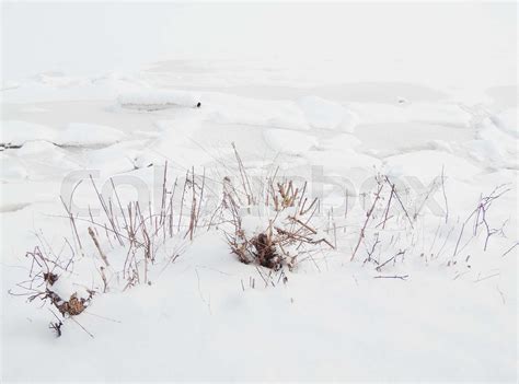 Frozen Lake Stock Image Colourbox