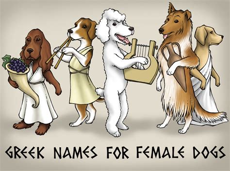 50 Greek Goddess Names That Make Unique Female Dog Names