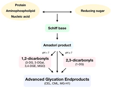 Advanced Glycation End Products Ijms Free Full Text Dicarbonyls And Advanced Glycation