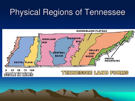 Ppt Physical Regions Of Tennessee From West To East Powerpoint