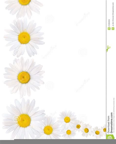 Free Daisy Clipart Borders Free Images At Vector Clip Art