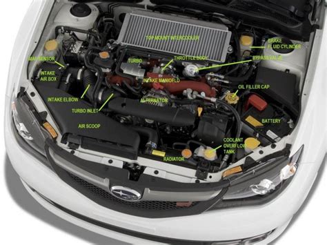 Car Parts Under The Hood Diagram