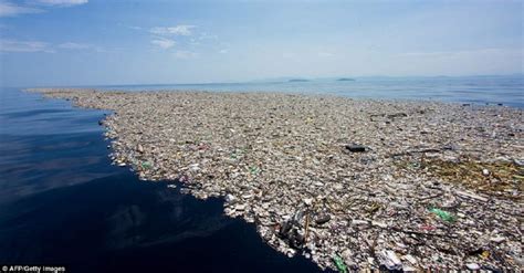 La Isla De Basura Del Pacífico Ya Es Más Grande Que 3 Países Juntos