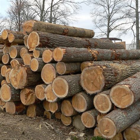 Rough White Pine Lumber Cline Lumber