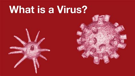 Virology What Is A Virus Youtube