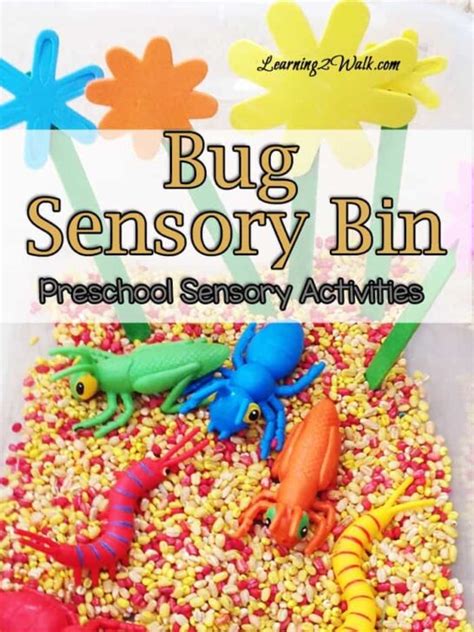 Bug Sensory Bin Preschool Sensory Activities