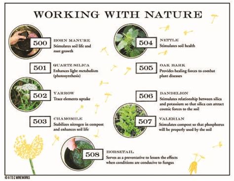 What, and Why Biodynamic Preparations? - Biologic Wine