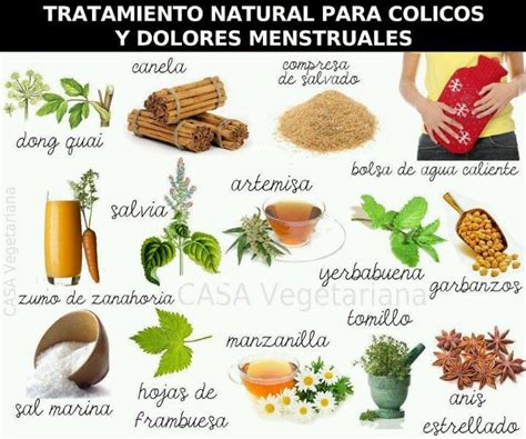 Remedios Caseros Plantas Medicinales Y Ejercicios Para Calmar La My