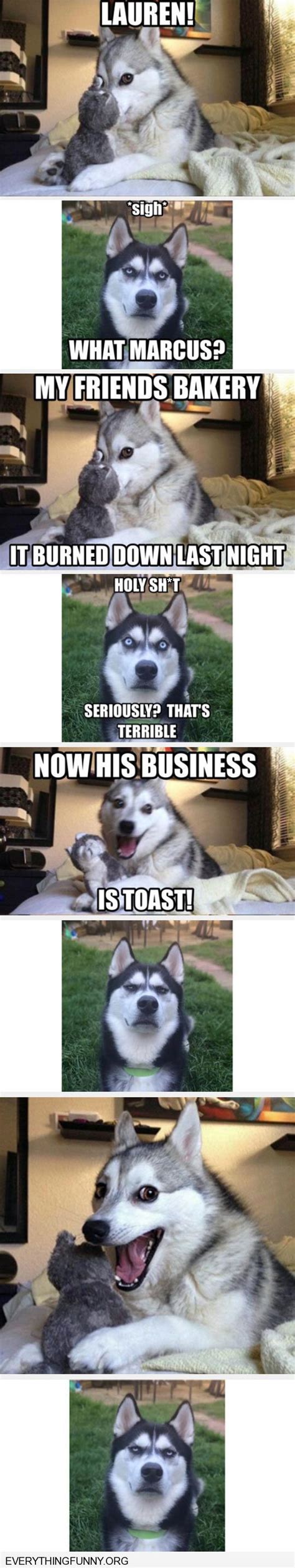 Funny Dog Joke Meme With Angry Husky Funny Dog Jokes