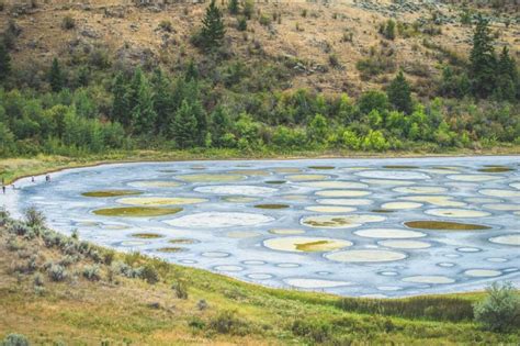 Spotted Lake Osoyoos Everything You Need To Know Before Visiting
