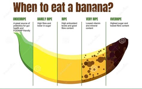 How Long Do Peeled And Unpeeled Bananas Last Quora