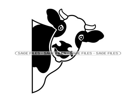 Peeking Cow Svg Funny Cow Svg Heifer Svg Cattle Svg Cow Etsy