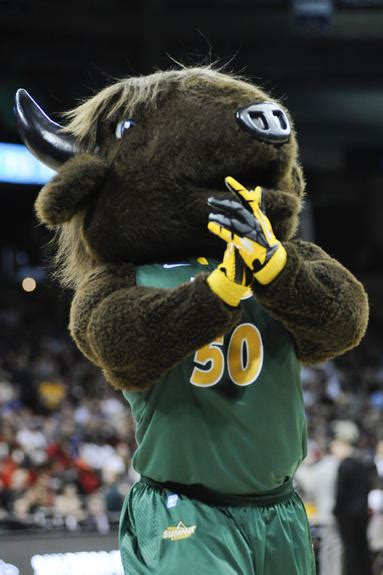The 50 Best College Mascots You Will See During March Madness