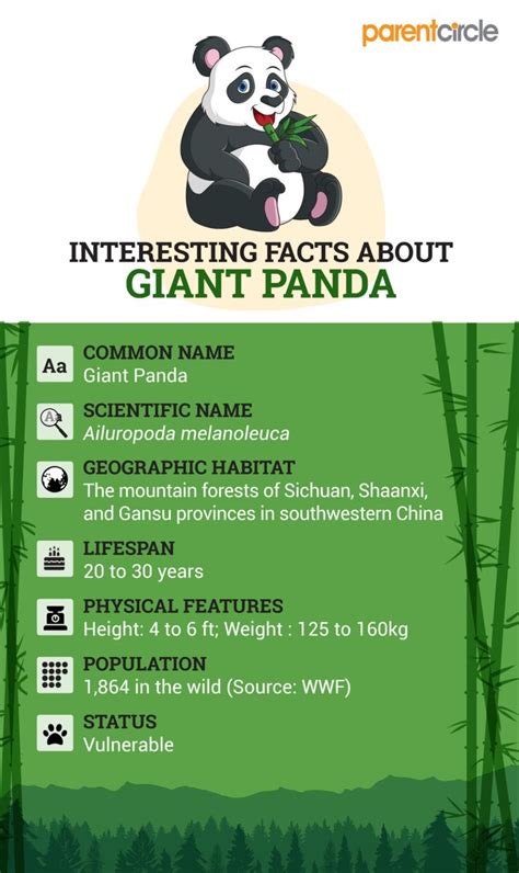 But while the breadth of earthly biodiversity may be well known, the incredible things our animal counterparts can do are often hidden. Interesting Facts About Giant Pandas For Kids in 2020 ...