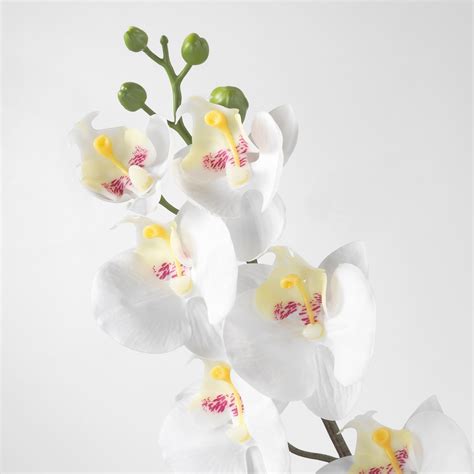 Smycka Artificial Flower Orchidwhite 23 ½ Ikea Artificial