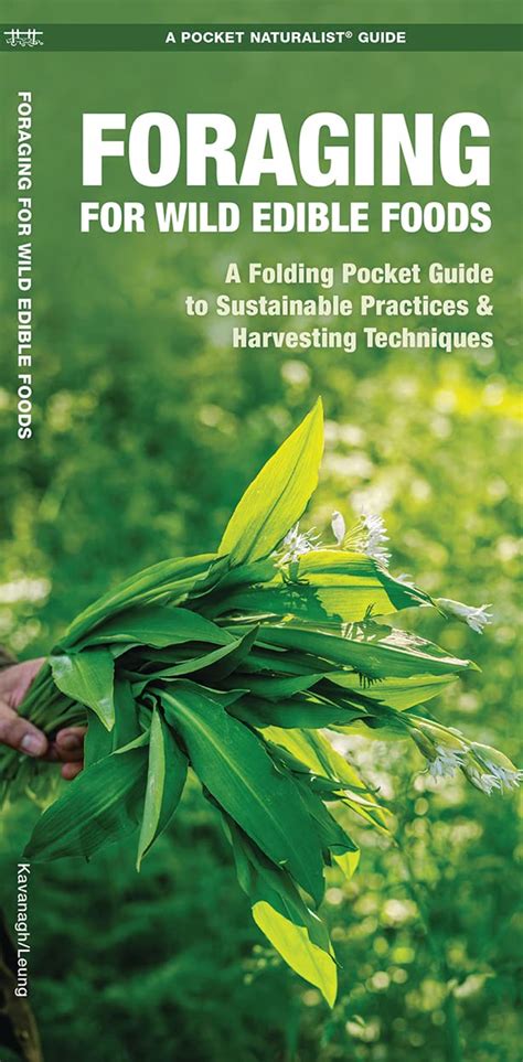 Foraging For Wild Edible Foods A Folding Pocket Guide To Sustainable